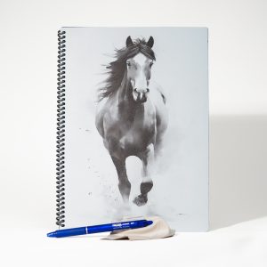 Berrībook okosfüzet MUSTANG